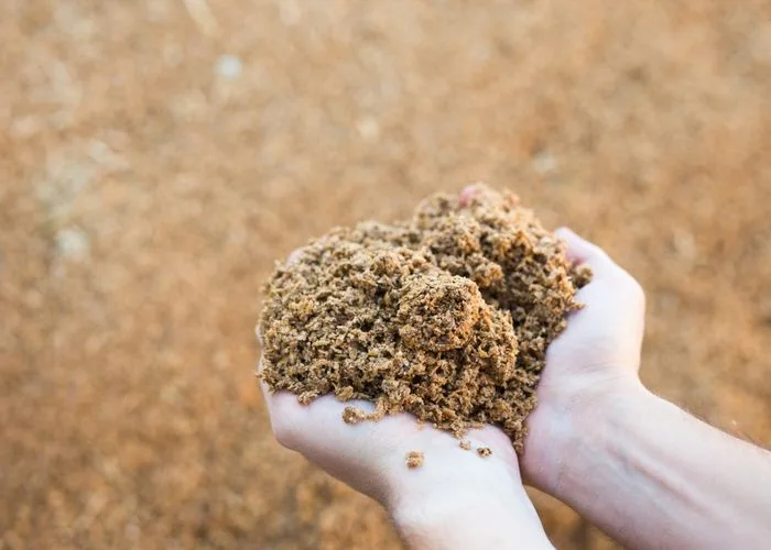 Premium animal feed pellets